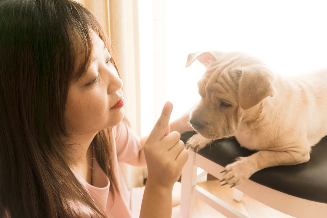 宋词中不食人间烟火的女孩名字及寓意