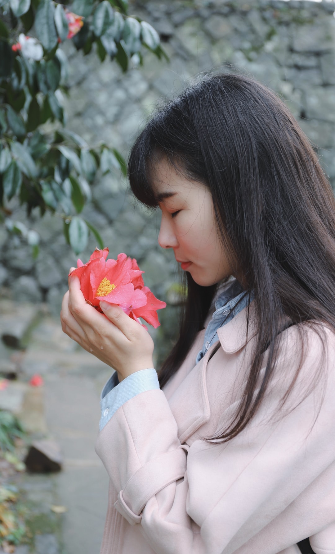 好听的女孩名字属牛