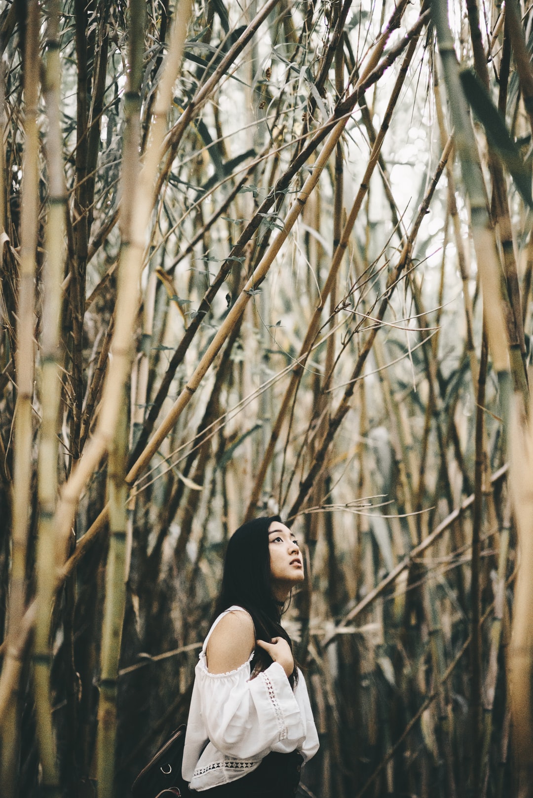 女生个性签名唯美图片