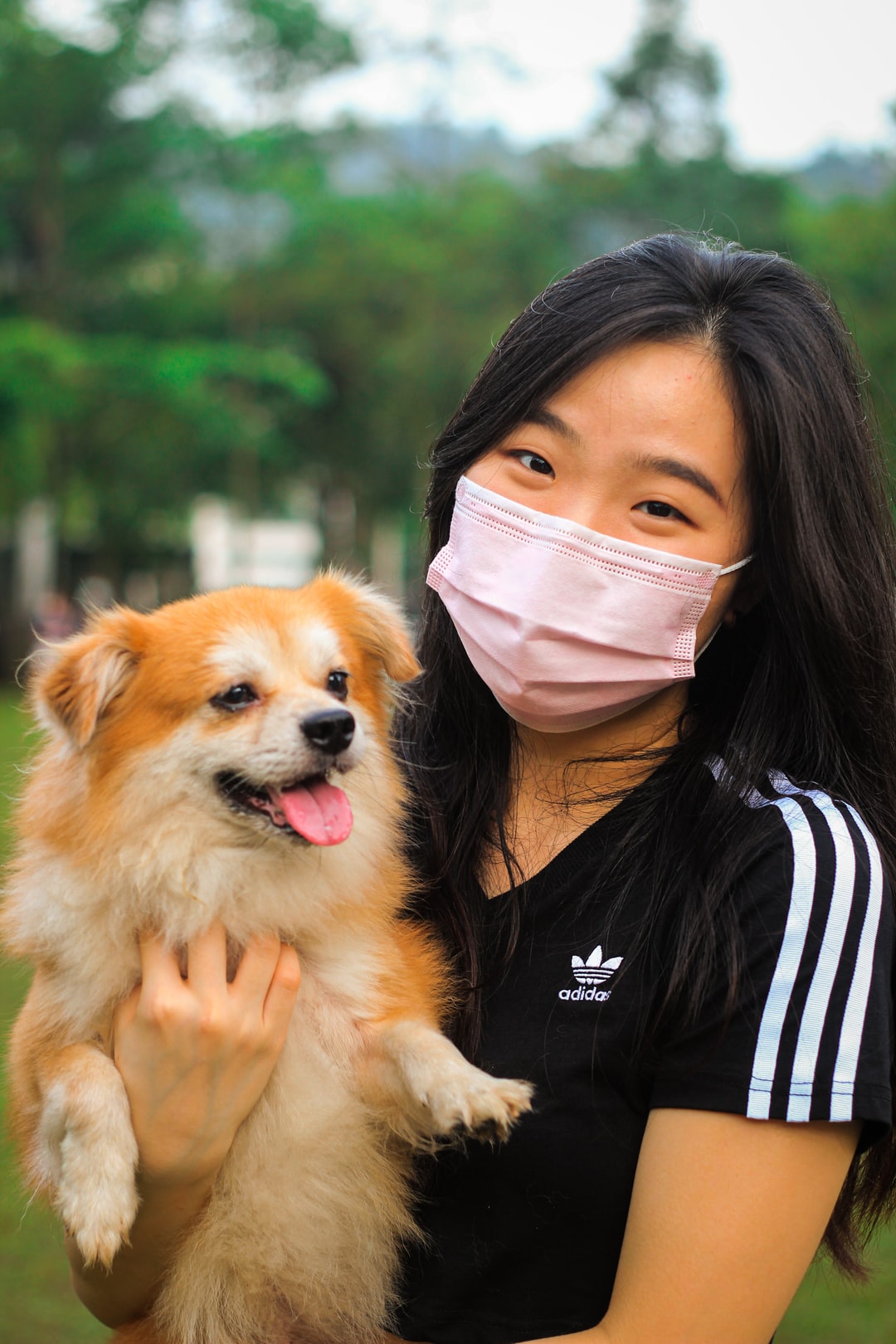 苍姓女孩名字起名案例苍逸轩