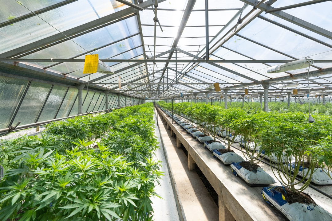 美甲店起名方法和注意事项美甲店起名案例参考