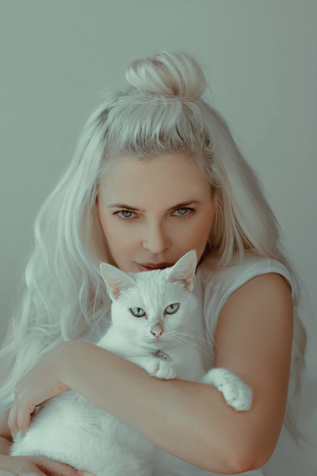 宠物猫取名大全可爱