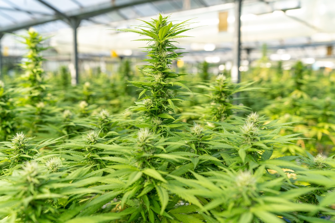 潮流童装店名大全，你想知道的都在这里！