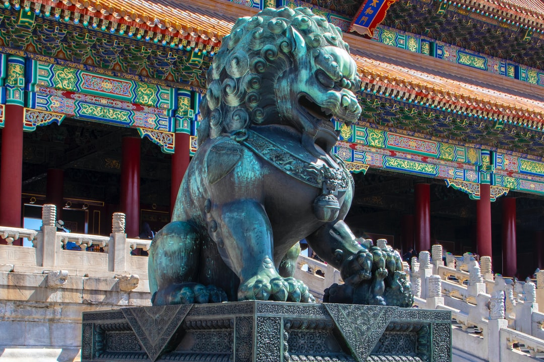 母狗名字大全顺口的母狗名字取名技巧