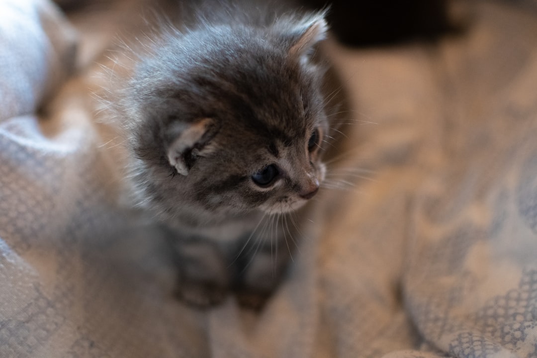 属龙的人养生在于养好自己的胃